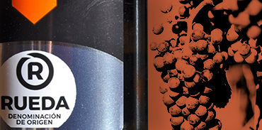 Denominación de origen de Castilla