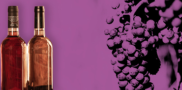 Los mejores vinos cosecheros